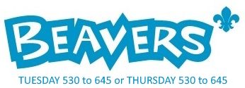 Beavers logo
Tuesday 5.30 to 6.45
or
Thursday 5.30 to 6.45